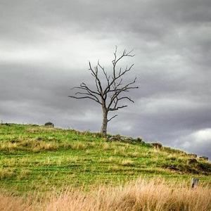 Meet your Posher, Karl